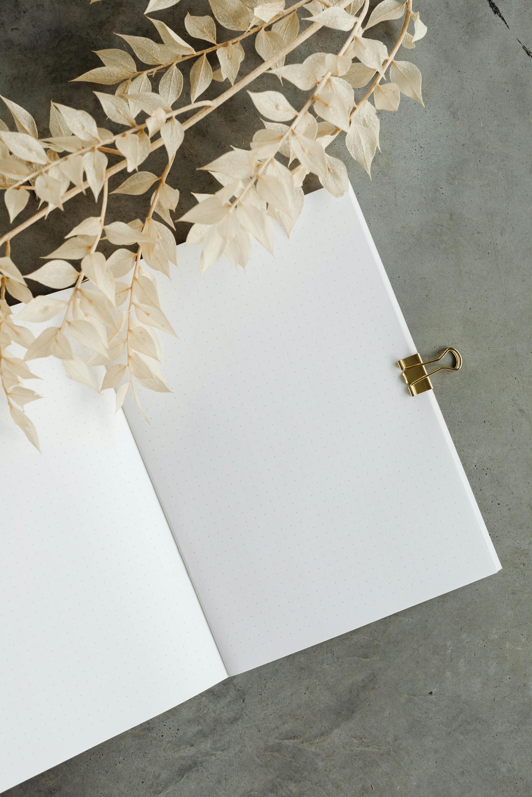 Open white notebook with dried leaves on a cement surface, perfect for design projects.